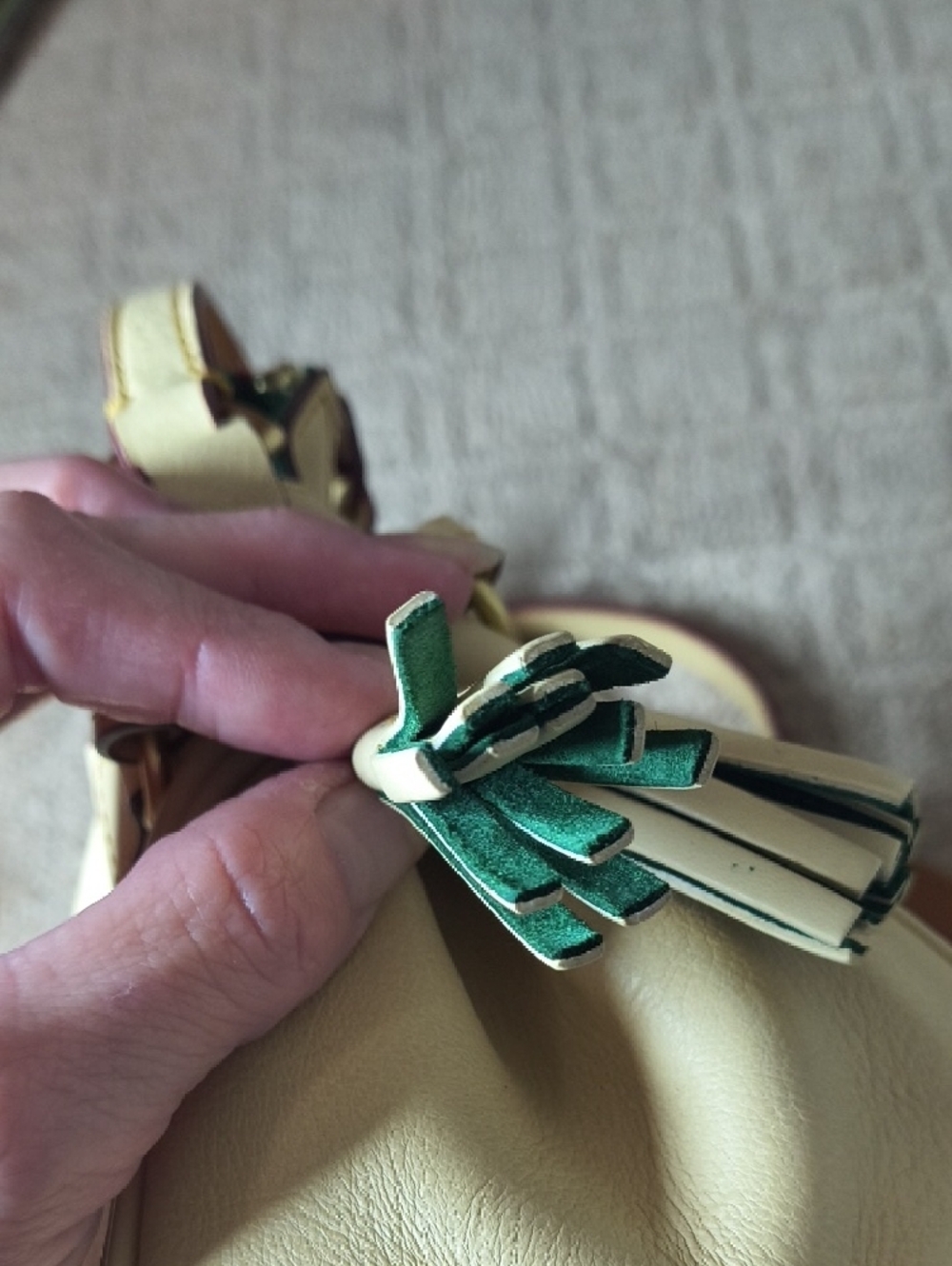 Dooney & Bourke Mini Zip Florentine Crossbody In Bone - Picture 4 of 12